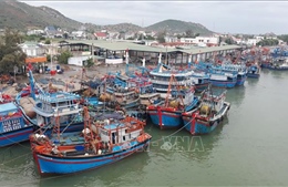 Ninh Thuận: Kêu gọi tàu thuyền khẩn trương vào bờ, tránh trú an toàn