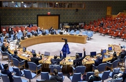 LHQ kêu gọi quân đội khôi phục chính quyền dân sự tại Sudan