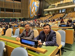 Đại sứ Nguyễn Hồng Thao tái đắc cử ILC: Minh chứng cho sự tín nhiệm của cộng đồng quốc tế