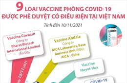 9 loại vaccine phòng COVID-19 được phê duyệt có điều kiện tại Việt Nam 