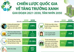 Chiến lược quốc gia về tăng trưởng xanh giai đoạn 2021-2030, tầm nhìn 2050