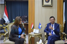 Thúc đẩy hợp tác thương mại và đầu tư giữa các địa phương Việt Nam-Ai Cập