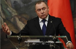 Belarus: Các ngoại trưởng OSCE nhất trí cần chấm dứt căng thẳng EU - Belarus