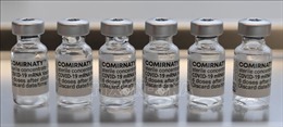 CureVac kiện BioNTech về bản quyền vaccine ngừa COVID-19