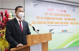 Tiềm năng hợp tác thương mại, đầu tư Việt Nam - New Zealand