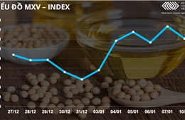 Bản tin MXV 11/1: Giá cà phê quốc tế và trong nước đồng loạt giảm