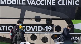 Canada bắt buộc lái xe tải xuyên biên giới có chứng nhận tiêm vaccine ngừa COVID-19