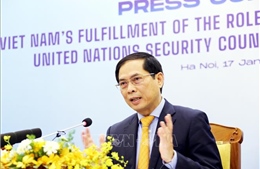 Bộ trưởng Ngoại giao Bùi Thanh Sơn: Ngành Ngoại giao luôn đồng hành cùng dân tộc