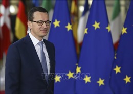EU chia rẽ quan điểm về mức độ trừng phạt Nga