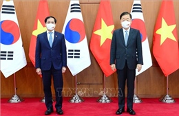 Bộ trưởng Ngoại giao Việt Nam - Hàn Quốc hội đàm