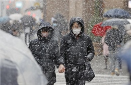 Nhật Bản dự báo tuyết rơi dày tại Tokyo và các khu vực xung quanh