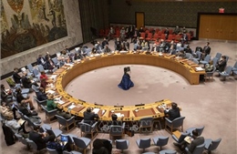 Hội đồng Bảo an Liên hợp quốc triệu tập họp khẩn lần thứ hai về Ukraine 