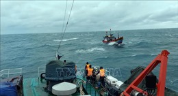 Chìm tàu cá, 4 lao động được cứu kịp thời