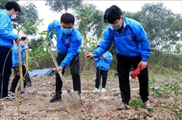 Tháng Thanh niên: Tuổi trẻ Bắc Ninh triển khai nhiều việc làm ý nghĩa