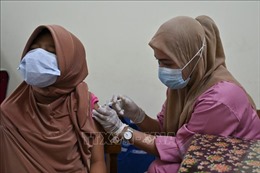 Indonesia chuẩn bị lộ trình từng bước chuyển sang giai đoạn bệnh đặc hữu