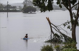 Hàng nghìn người dân thành phố Sydney (Australia) phải sơ tán do lũ lụt