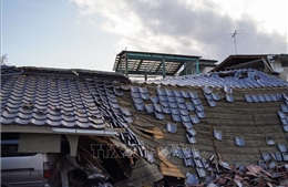 Động đất có cường độ 5,5 tại Đông Bắc Nhật Bản 