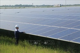 Hai doanh nghiệp điện năng lượng mặt trời bị xử phạt