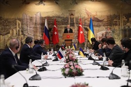 Thổ Nhĩ Kỳ thúc đẩy tiến trình hòa đàm Nga - Ukraine
