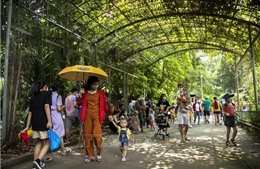 Các điểm tham quan, vui chơi TP Hồ Chí Minh thu hút du khách trong ngày Giỗ Tổ 