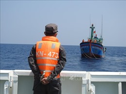 Vùng 4 Hải quân: Bàn giao ngư dân và tàu cá Bình Định gặp nạn cho địa phương