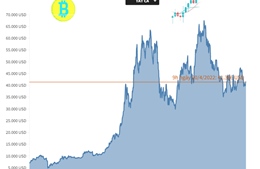 Bitcoin vượt 41.000 USD, thị trường phủ màu xanh