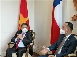 Cầu nối thúc đẩy hợp tác giữa các địa phương của Việt Nam và Chile