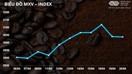 Bản tin MXV 21/4: Ngô, đậu tương và cà phê tăng nhẹ, bất chấp thị trường giằng co