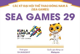 Thông tin về Đại hội thể thao Đông Nam Á lần thứ 29 (SEA Games 29)