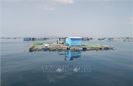Ninh Thuận kiên quyết di dời lồng bè nuôi thủy sản tự phát