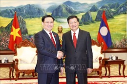 Chủ tịch Quốc hội Vương Đình Huệ chào xã giao Tổng Bí thư, Chủ tịch nước Lào 