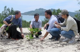Phú Yên khảo sát trồng rừng ven biển