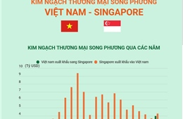 Quan hệ thương mại song phương Việt Nam và Singapore