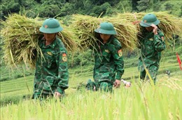 Tình đoàn kết quân dân ở khu vực biên giới Lai Châu