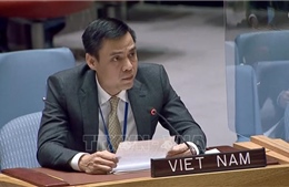 Việt Nam kêu gọi thúc đẩy nỗ lực bảo vệ dân thường trong xung đột