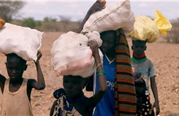 Xung đột Nga-Ukraine làm trầm trọng thêm nạn đói tại Kenya