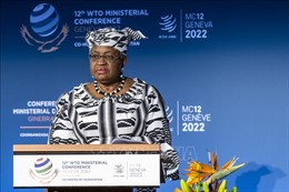 WTO kêu gọi các nước đồng thuận với gói thỏa thuận thương mại &#39;chưa từng có&#39;