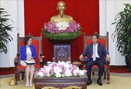 Trưởng ban Kinh tế Trung ương Trần Tuấn Anh tiếp Đại sứ Australia tại Việt Nam