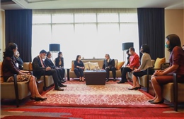 Phó Chủ tịch nước Võ Thị Ánh Xuân gặp Phó Thủ tướng, Bộ trưởng Ngoại giao Thái Lan