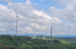 Gia Lai: Kiến nghị giảm thiểu thiệt hại cho các dự án điện gió