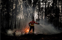 Thủ tướng Bồ Đào Nha huỷ công du nước ngoài vì cháy rừng liên tục trong nước
