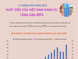 6 tháng đầu năm 2022, xuất siêu của Việt Nam sang EU đạt 15,5 tỷ USD, tăng 39%
