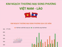 Kim ngạch thương mại song phương Việt Nam - Lào