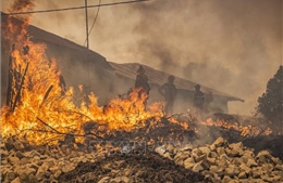 Maroc tăng cường nhân lực để khống chế cháy rừng