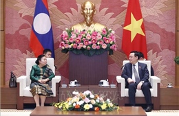 Chủ tịch Quốc hội Vương Đình Huệ tiếp Phó Chủ tịch Quốc hội Lào Sounthon Xayachak