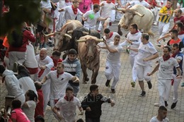 Ba người tử vong trong các lễ hội chạy đua với bò tót ở Tây Ban Nha