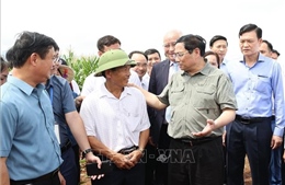 Thủ tướng thăm vùng sản xuất nông nghiệp công nghệ cao tại Nghệ An 