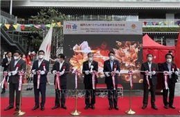 Hội chợ kết nối các doanh nghiệp, địa phương Việt Nam với vùng Kyushu (Nhật Bản) 