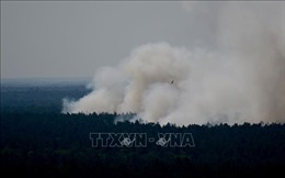 Nguy cơ nổ bom đạn cản trở cứu hộ đám cháy ở rừng Grunewald