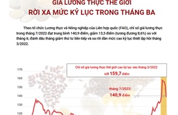 Giá lương thực thế giới rời xa mức kỷ lục trong tháng ba